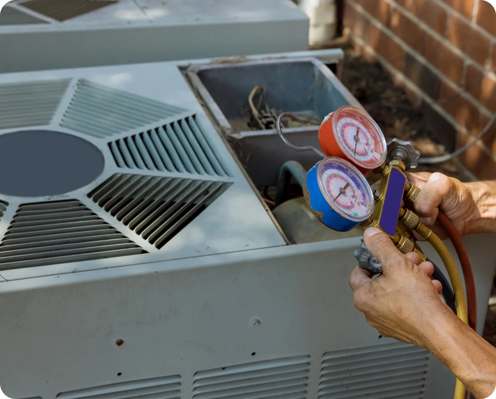 O nas revize chladiva hestima